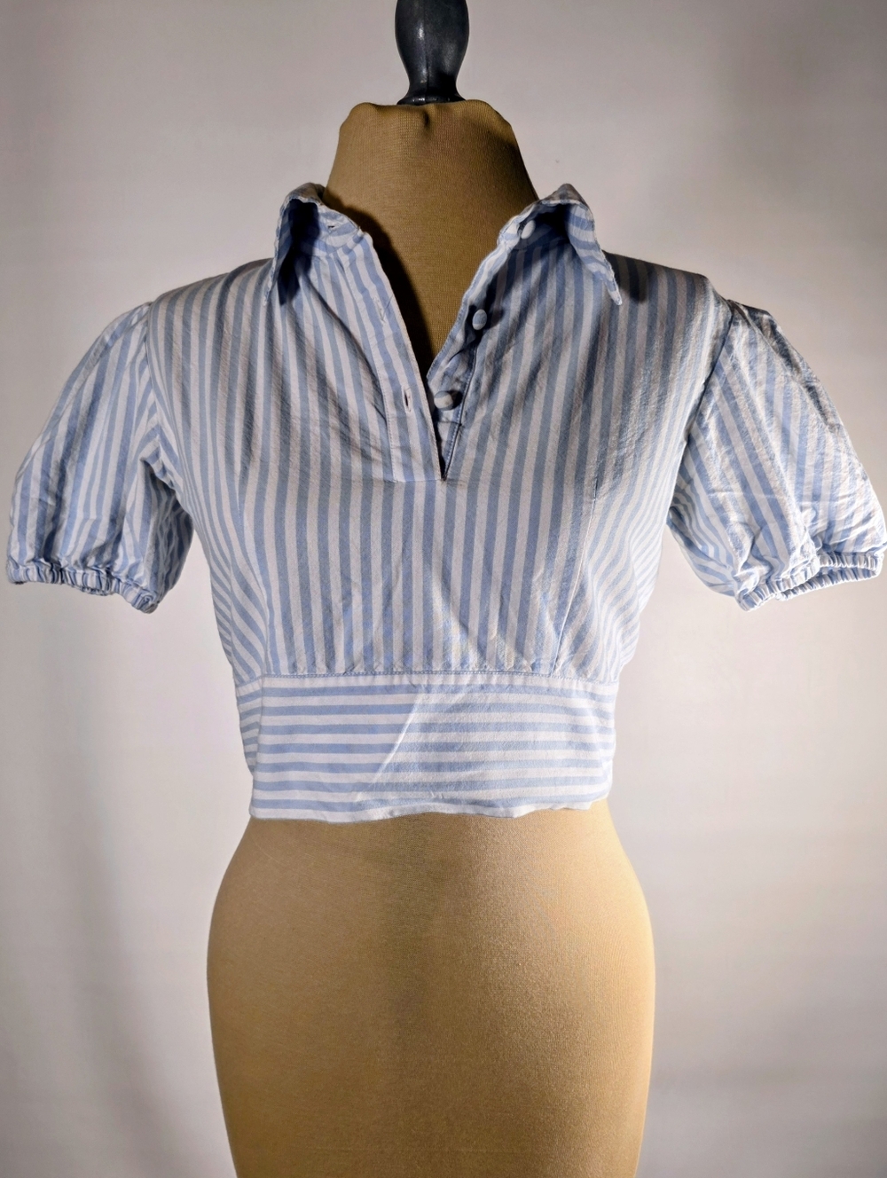 Samantha Pleet Light Blue Striped Cropped Polo Top